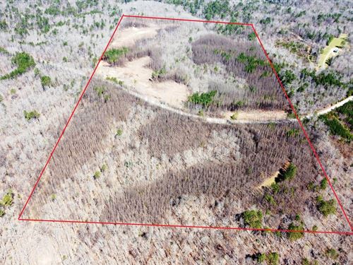 Bankhead National Forest Homesites : Double Springs : Winston County : Alabama