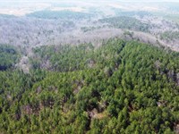 Raven Den Branch : Bear Creek : Marion County : Alabama