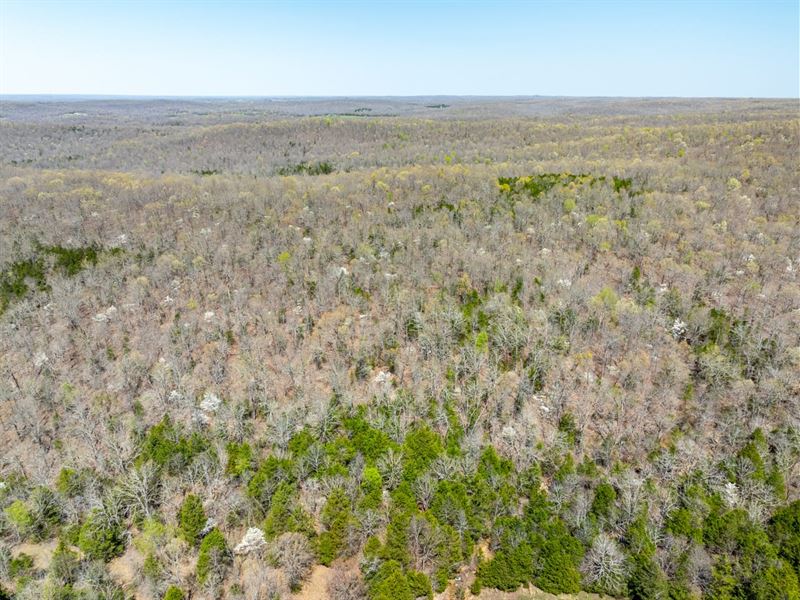 40 Acres, Hunting Land, Timberl : Hardy : Fulton County : Arkansas