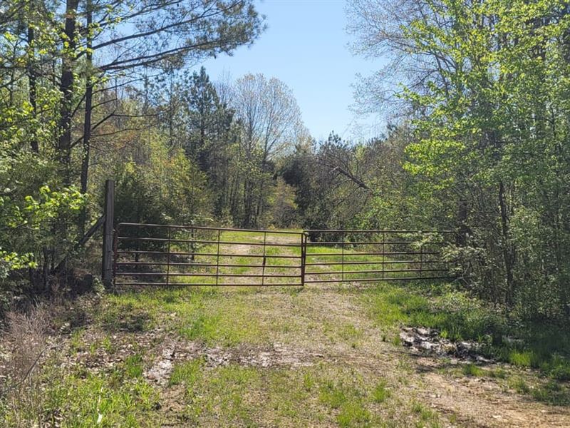 37 Ac 14 Ac Ag Fields Cattle/Hors : Stantonville : McNairy County : Tennessee
