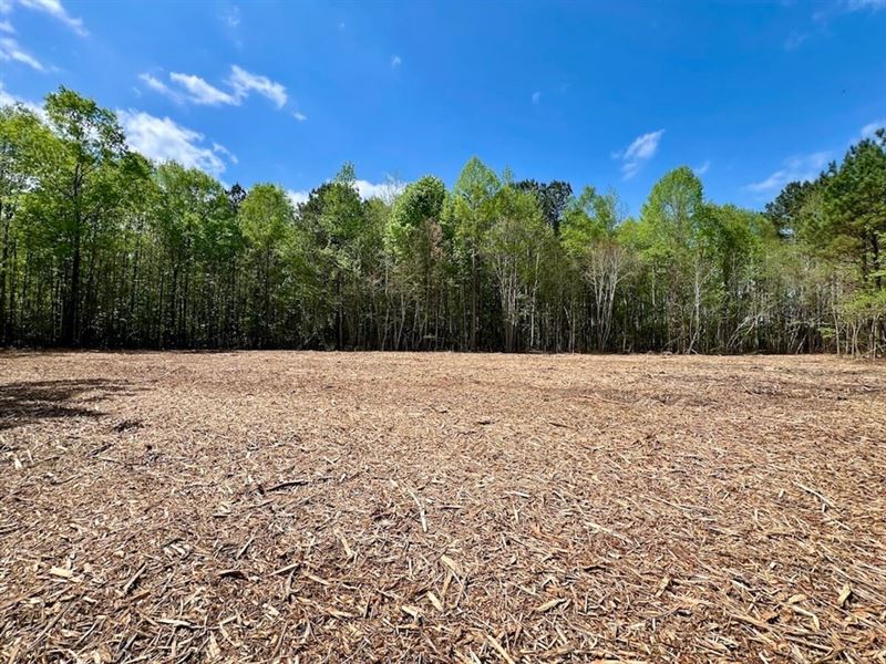 29.54 Acres of Residential and Inve : Nashville : Nash County : North Carolina