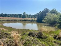 Excellent Homesite on 18 Acres : Ponta : Cherokee County : Texas