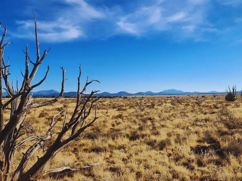 Secluded, and Easy Access $125/Mo : Williams : Coconino County : Arizona