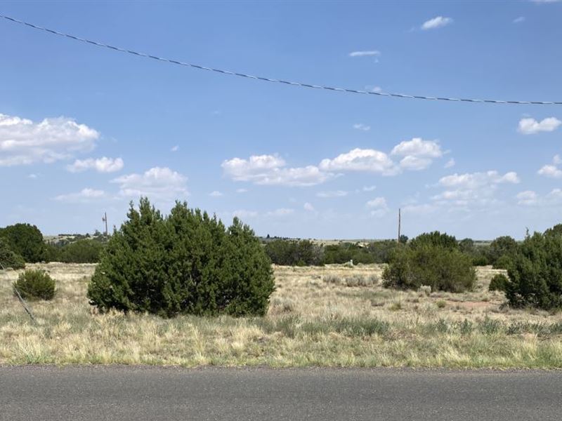 .38 Acres for $225/Mo : Concho : Apache County : Arizona