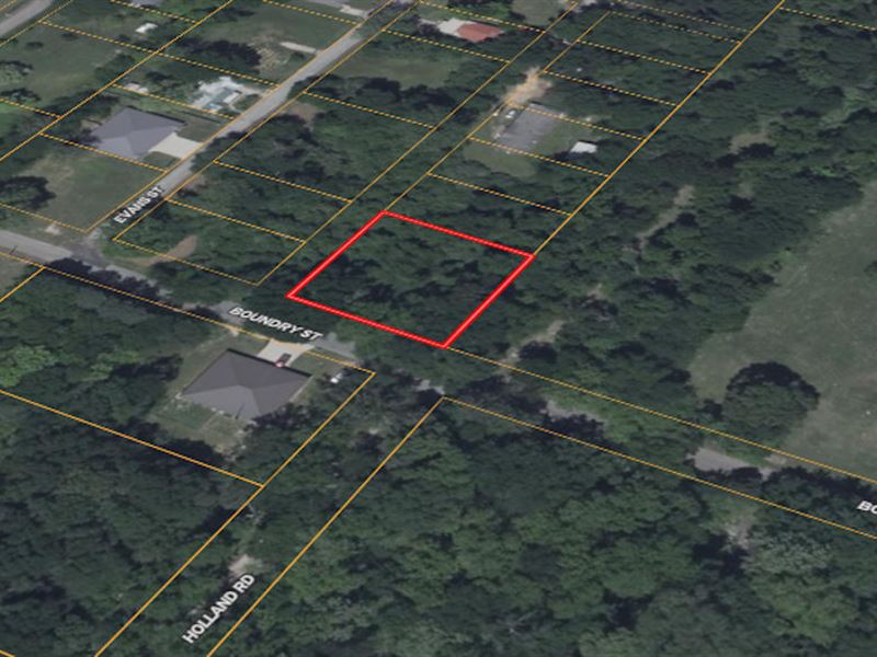 .34 Acres in Mineola, Tx, $255/Mo : Mineola : Wood County : Texas