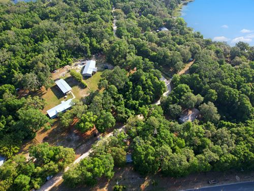 Smart Buy for First Time Landowners : Hawthorne : Putnam County : Florida