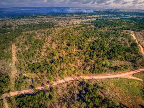 Coal County Hunting Retreat : Coalgate : Coal County : Oklahoma