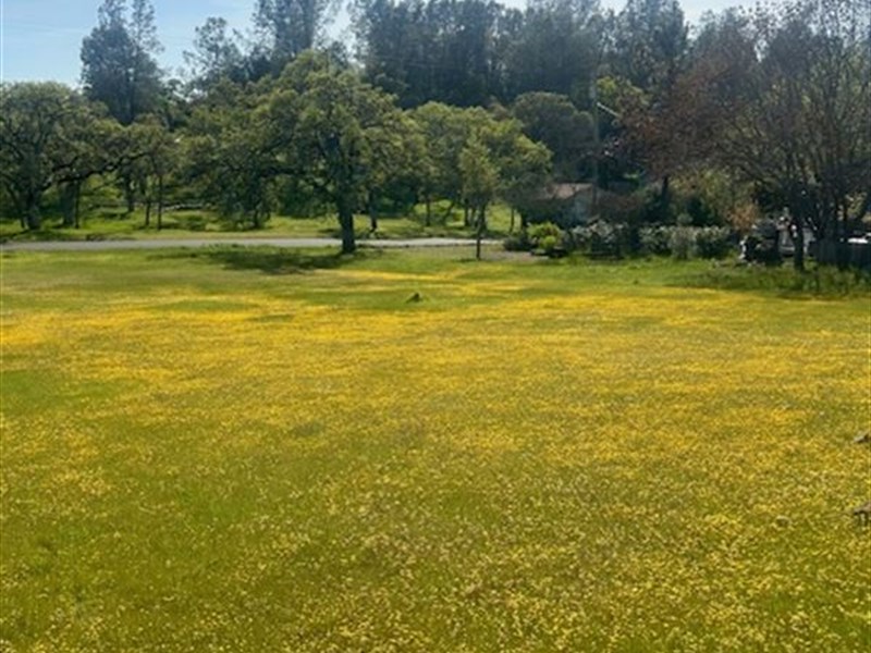 .31 Acre Lot in Hidden Valley Lake : Hidden Valley Lake : Lake County : California