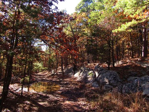 Secluded Unrestricted Kiamichi Wild : Antlers : Pushmataha County : Oklahoma