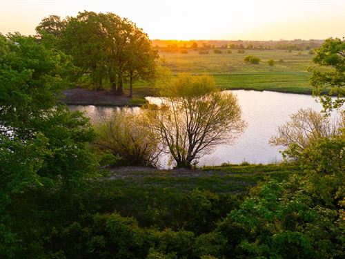 465 Acres Donie, Texas Premier Recr : Donie : Freestone County : Texas