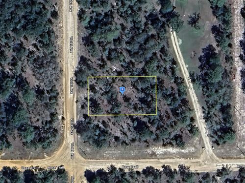 Own Land Next to County for $253/Mo : Interlachen : Putnam County : Florida
