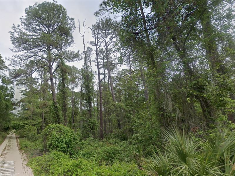 Build-Ready Land, $199 Down : Satsuma : Putnam County : Florida