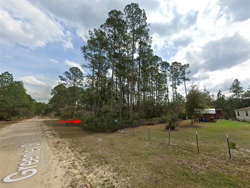 Lot by Lakes & Golf, Just $278/Mo : Interlachen : Putnam County : Florida