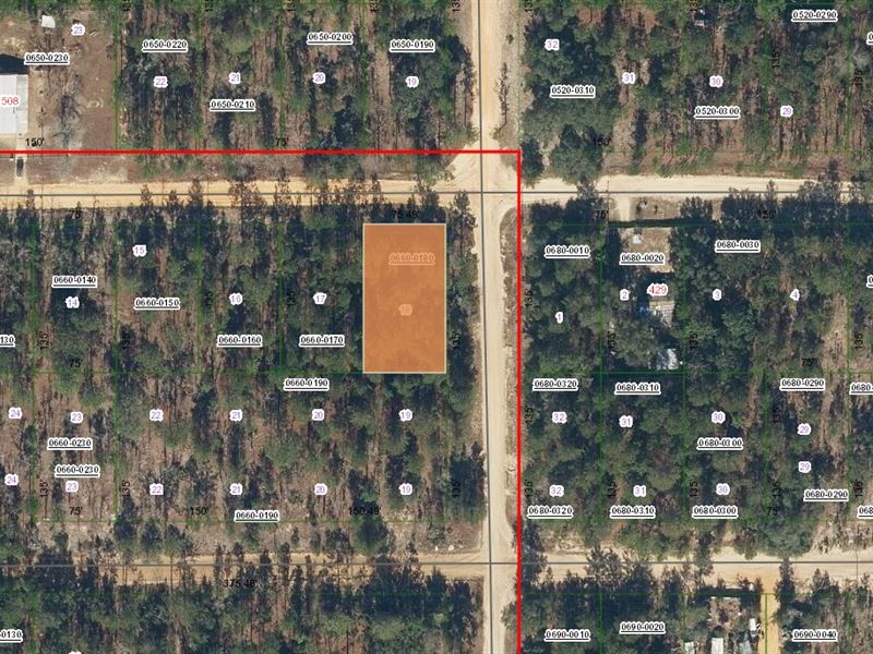 Say Yes to Land, $199 Down : Interlachen : Putnam County : Florida