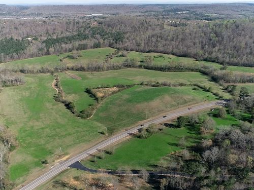 68 Acres, Open Fields, Turkey : Springville : Saint Clair County : Alabama