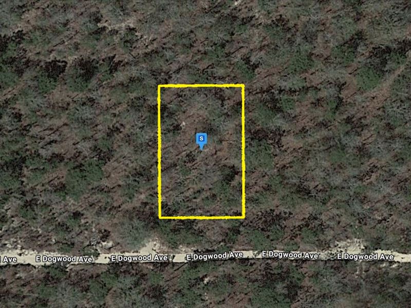 Peace and Privacy for $503.29 Down : Defuniak Springs : Walton County : Florida