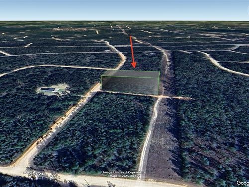 Alford Country Living, $450/Mo : Alford : Jackson County : Florida