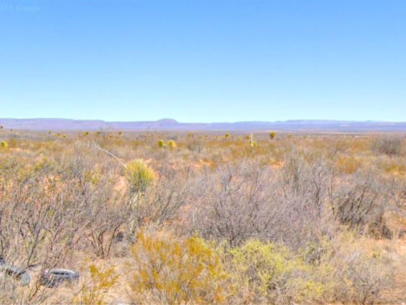 Land Made for Exploring, 21.11 AC : Sierra Blanca : Hudspeth County : Texas