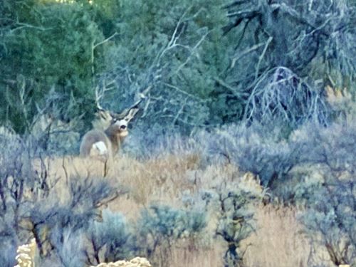 Wilderness Ranch : Regina : Rio Arriba County : New Mexico