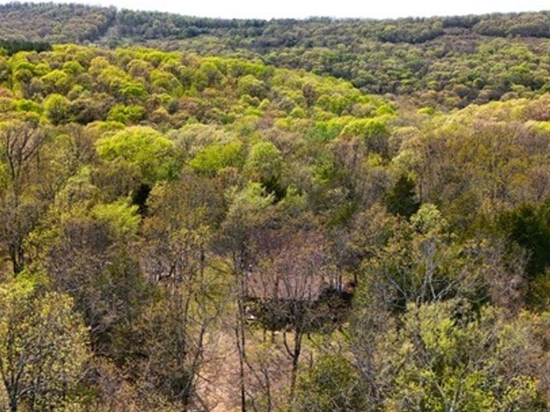 National Forest Cedar Cabin in Nort : Natural Dam : Crawford County : Arkansas