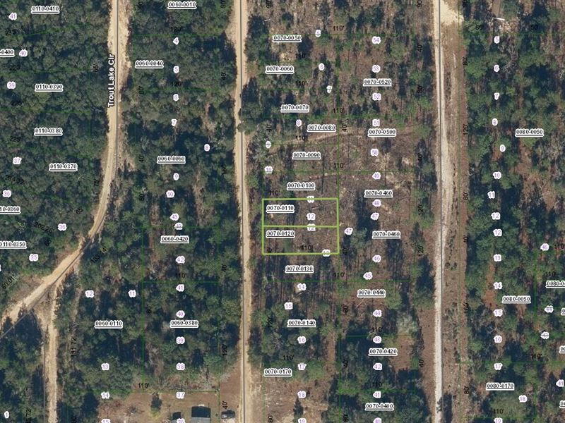Two Lots, One Price Only $149 Down : Interlachen : Putnam County : Florida