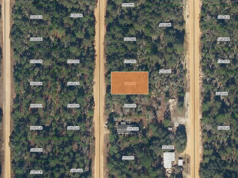 Own Rural Land Today Just $199 Down : Interlachen : Putnam County : Florida