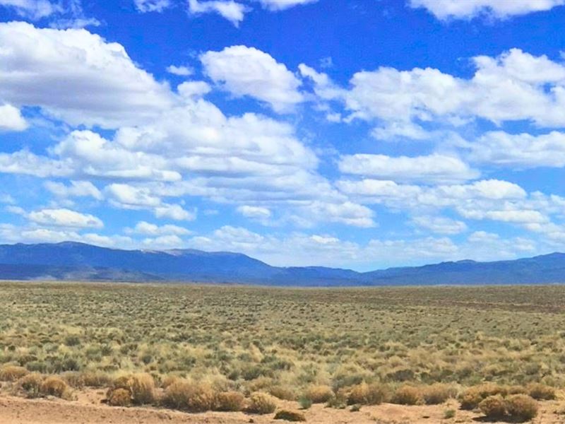 Exceptional Lot with Water Rights : San Luis : Costilla County : Colorado