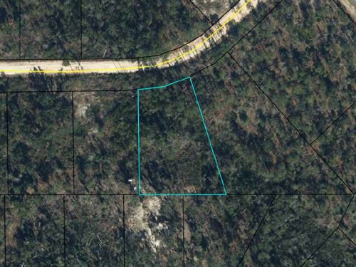Lake Community Wooded Acre : Marianna : Jackson County : Florida