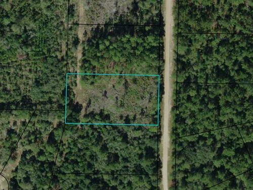 Beautiful Acre+ in Compass Lakes : Alford : Jackson County : Florida