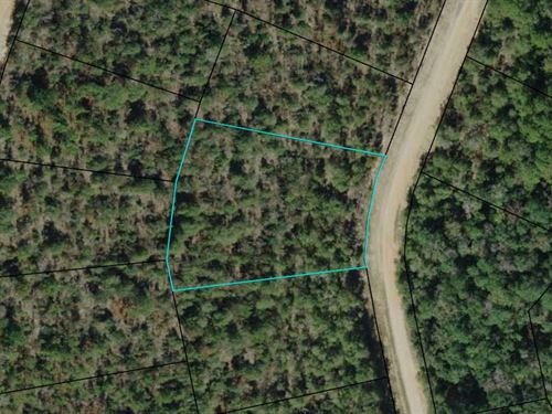 1.5 Acres in Beautiful Compass Lake : Alford : Jackson County : Florida