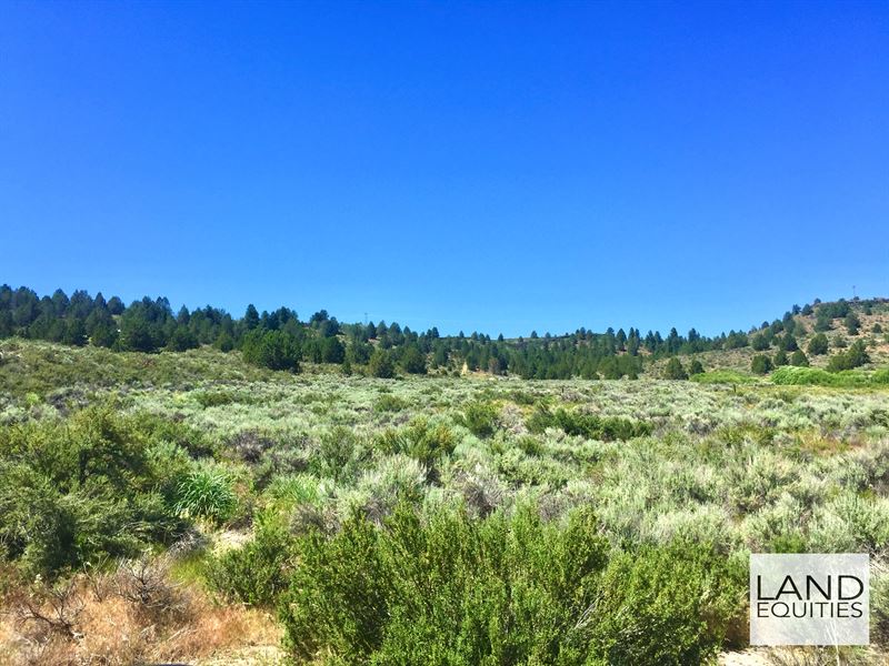 Bargain Priced with Power & Views : Sprague River : Klamath County : Oregon