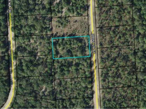 Beautiful Lake Community Lot : Marianna : Jackson County : Florida