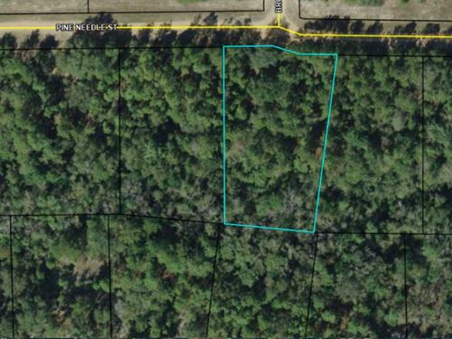 Beautiful Lake Community Acre : Marianna : Jackson County : Florida