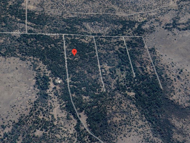 Secluded, Scenic on 1.9 Acres : Bonanza : Klamath County : Oregon
