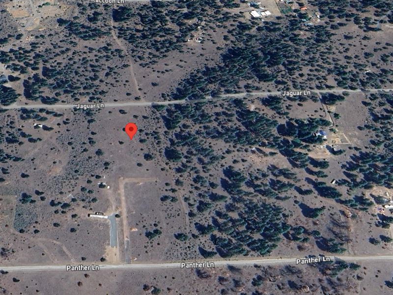 Freedom to Live on 2.1 Acres : Bonanza : Klamath County : Oregon