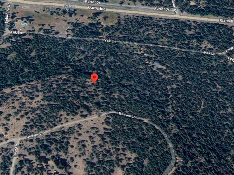Your Getaway in Nature, 3.39 Acres : Hildebrand : Klamath County : Oregon