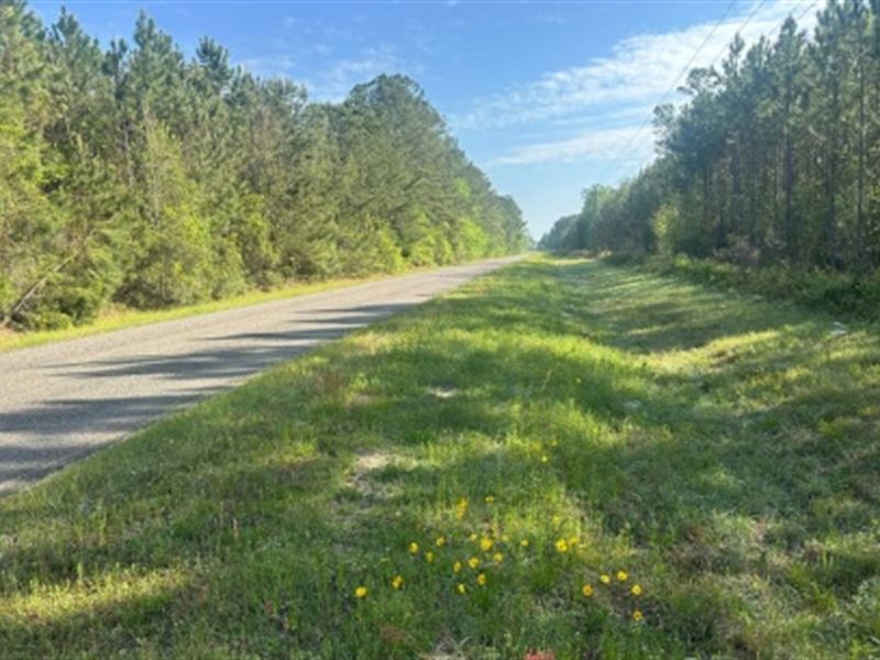 Redfield Road Property : Newington : Screven County : Georgia