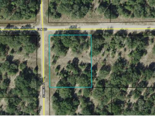 Acre+ Near Beautiful Lakes : Marianna : Jackson County : Florida