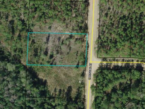 Acre+ Minutes From McCormick Lake : Alford : Jackson County : Florida