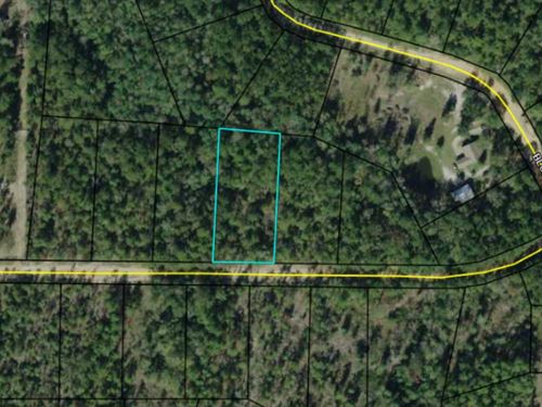 Beautiful Lake Community Land : Marianna : Jackson County : Florida