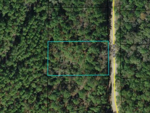 1.2 Acres in Beautiful Compass Lake : Alford : Jackson County : Florida