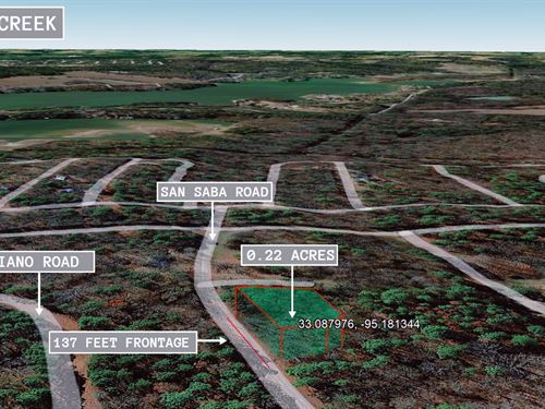 .22 Acre in Mount Vernon, $200/Mo : Mount Vernon : Franklin County : Texas