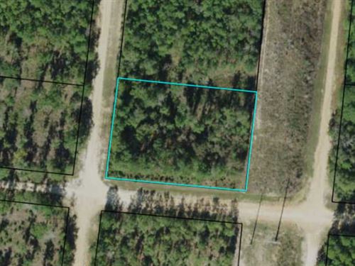 Corner Lot, Beautiful Compass Lake : Alford : Jackson County : Florida