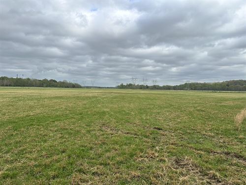 34.94 Acres Bordering Sheffield Wma : Cartersville : Bartow County : Georgia