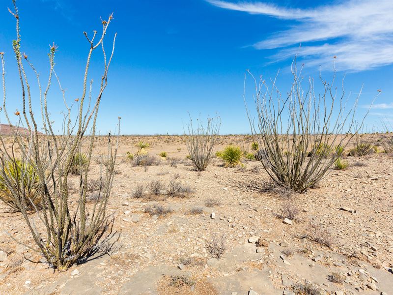 Multiple Tracts Available, Low Down : Sierra Blanca : Hudspeth County : Texas