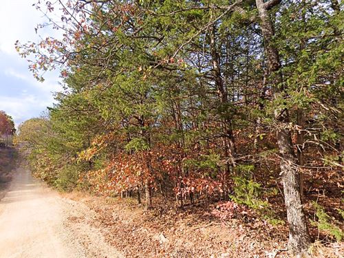 Dream Home Near Bull Shoals Lake : Diamond City : Boone County : Arkansas