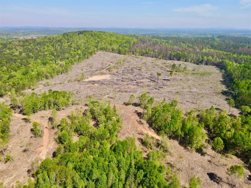 40 Acres in Clay County : Ashland : Clay County : Alabama