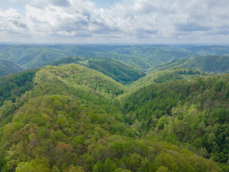 100 Acres in Buchanan County VA : Grundy : Buchanan County : Virginia