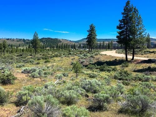 Fly-Fishin' Heaven : Bonanza : Klamath County : Oregon