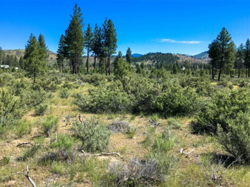 Fly-Fishin' Heaven : Bonanza : Klamath County : Oregon